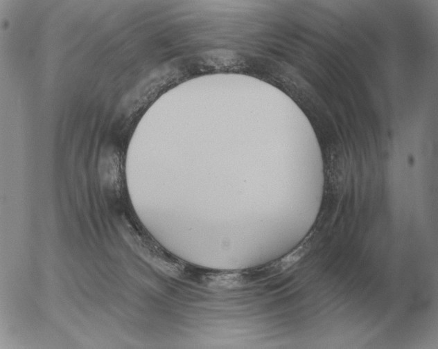 X0000053110132200508012135