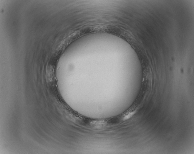 X0000053110133200508012135