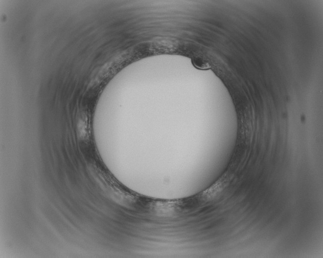 X0000053110134200508012135