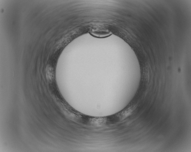 X0000053110135200508012135