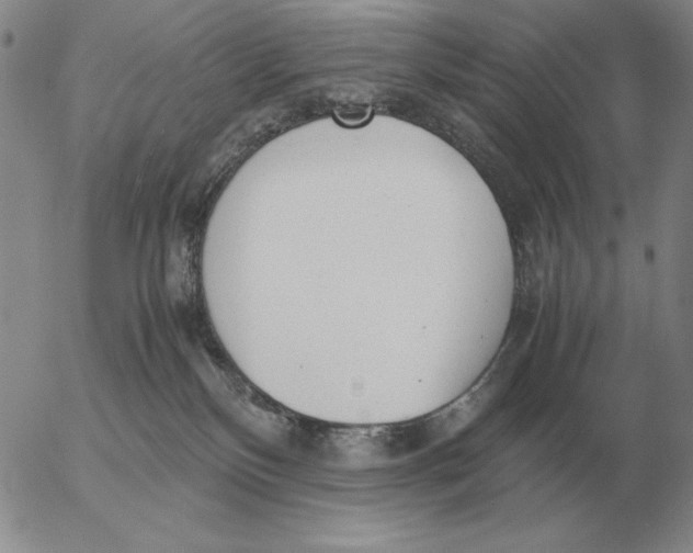 X0000053110136200508012134