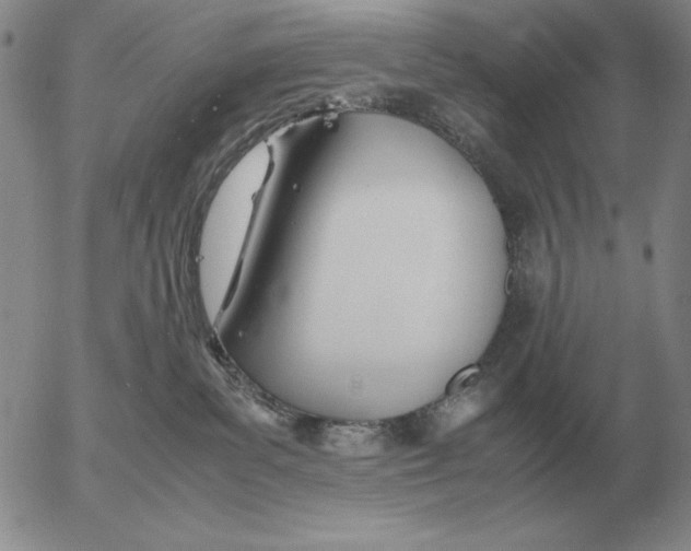 X0000053110139200508012134