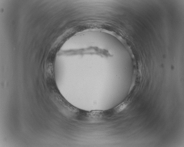 X0000053110141200508012134