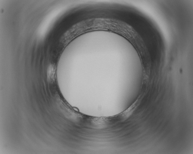 X0000053110142200508012134