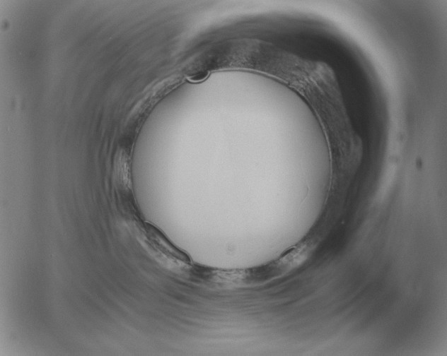 X0000053110143200508012134