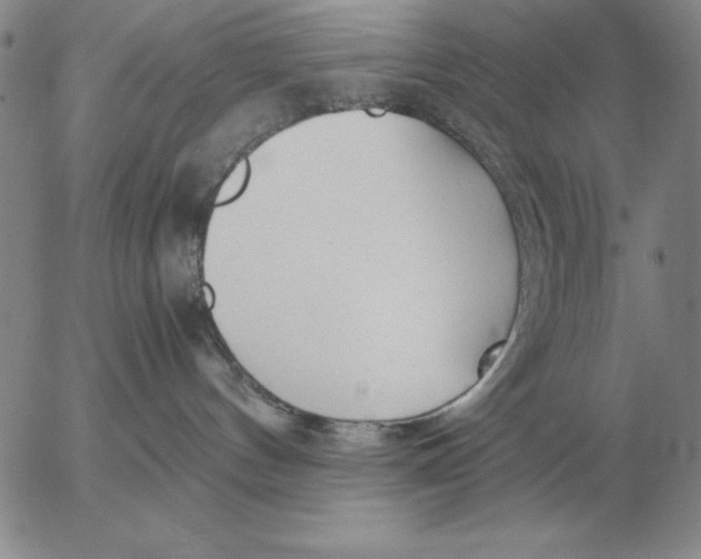 X0000053110144200508012134