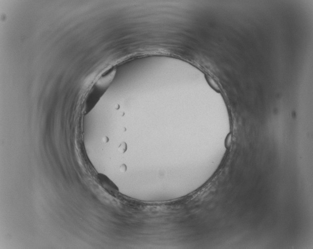 X0000053110145200508012134