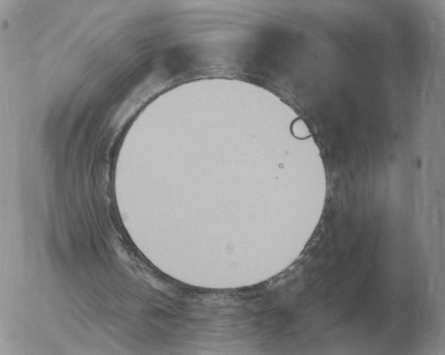 X0000053110146200508012134