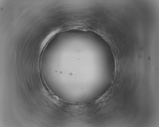 X0000053110147200508012134