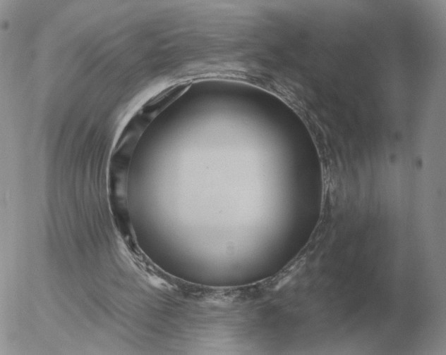 X0000053110148200508012134