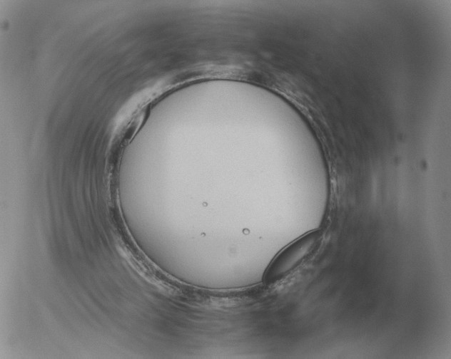 X0000053110149200508012134