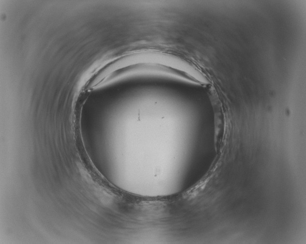 X0000053110150200508012134