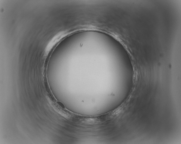 X0000053110151200508012134