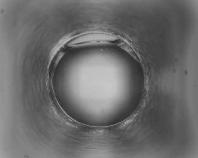 X0000053110152200508012134