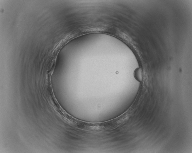 X0000053110153200508012134