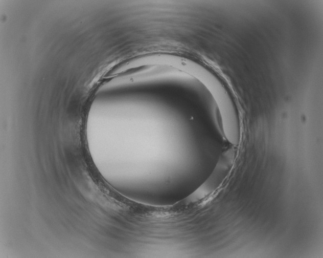 X0000053110154200508012134