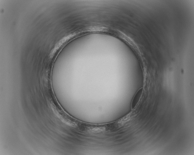 X0000053110155200508012134