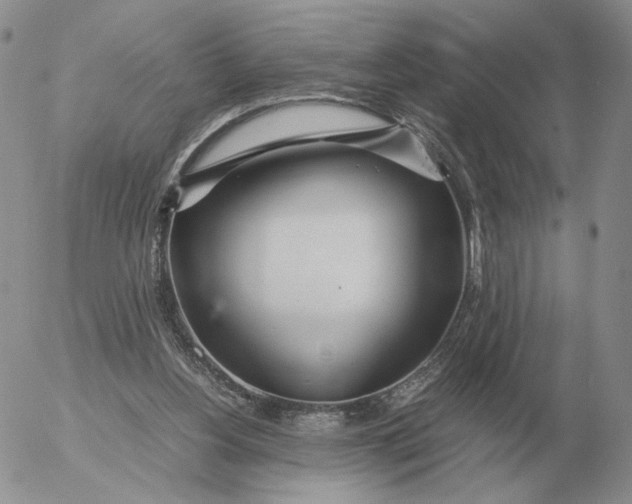 X0000053110156200508012134