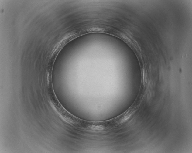 X0000053110157200508012134