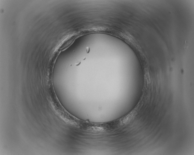 X0000053110159200508012134