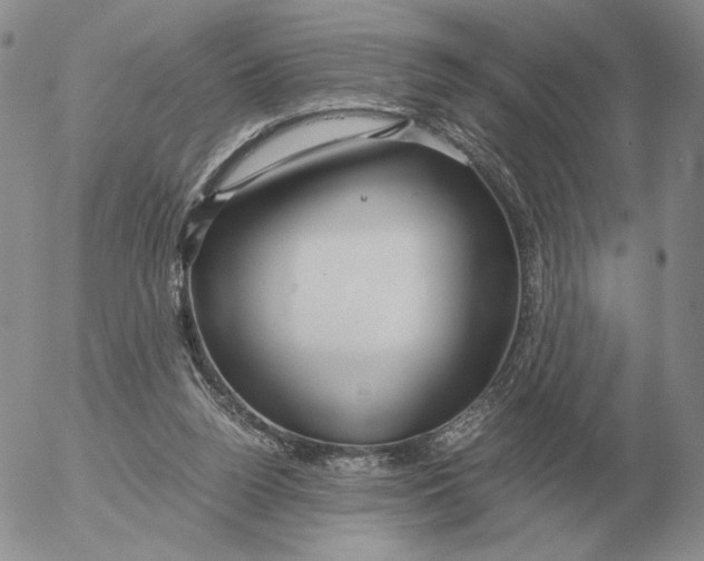 X0000053110160200508012134