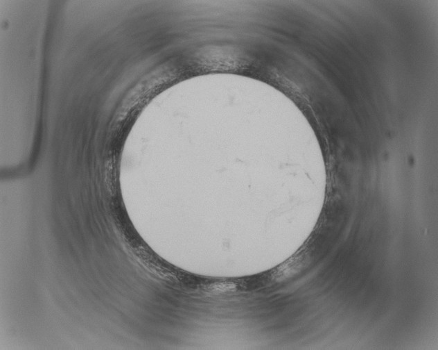 X0000053110162200508012134