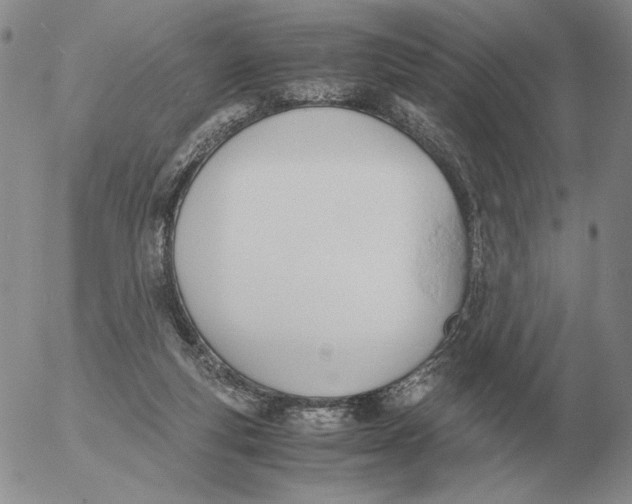 X0000053110163200508012134