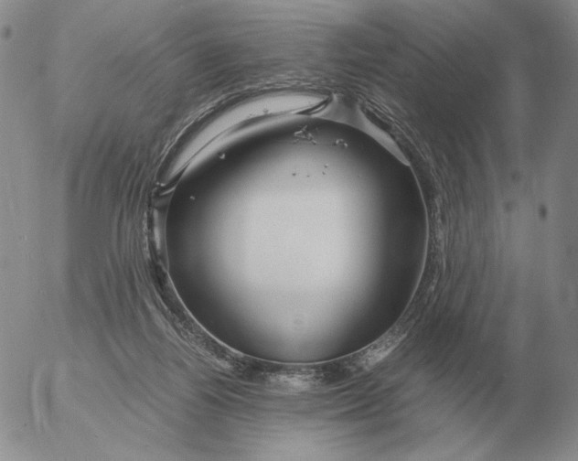 X0000053110164200508012134