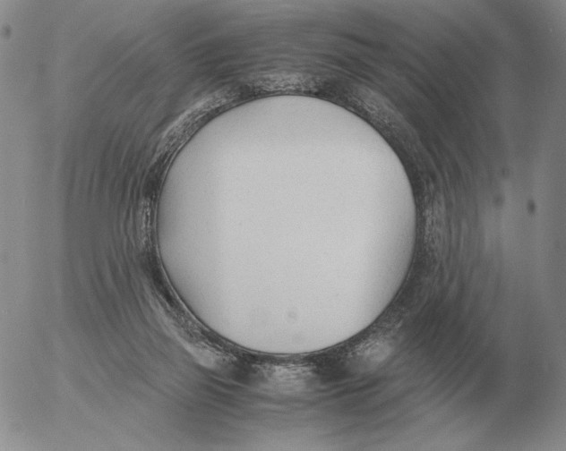 X0000053110165200508012134