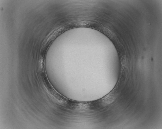 X0000053110166200508012134