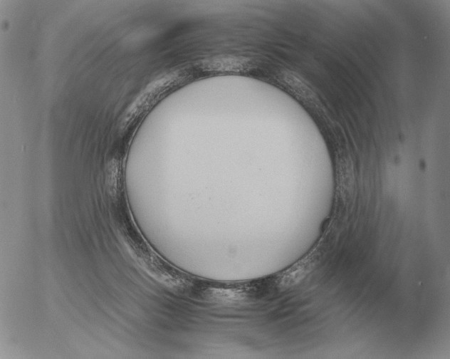 X0000053110167200508012134