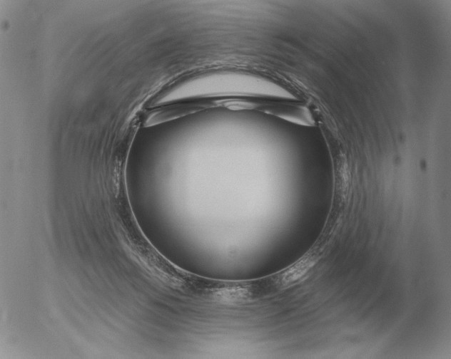 X0000053110168200508012134