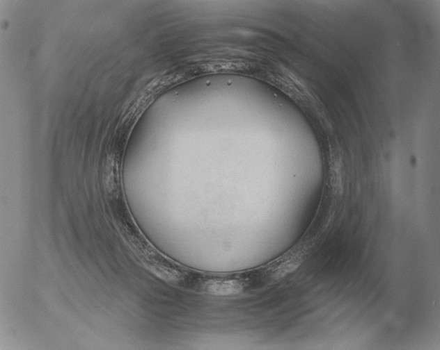 X0000053110169200508012134