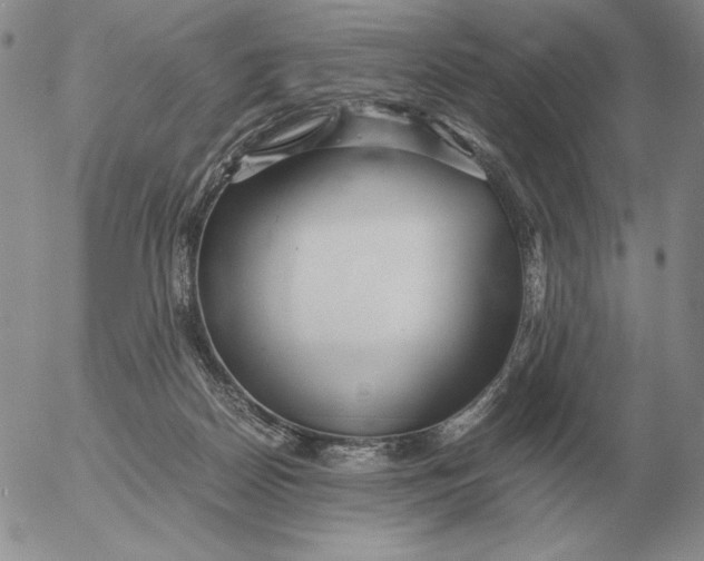 X0000053110170200508012134