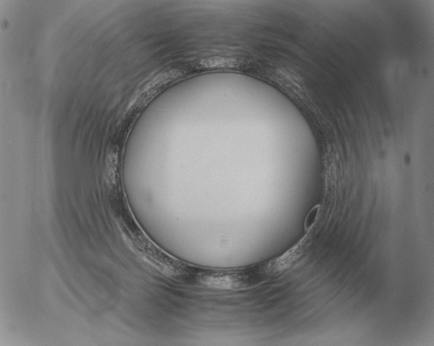 X0000053110171200508012134