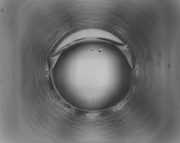 X0000053110172200508012134