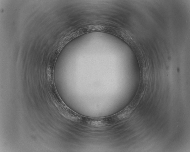 X0000053110173200508012134