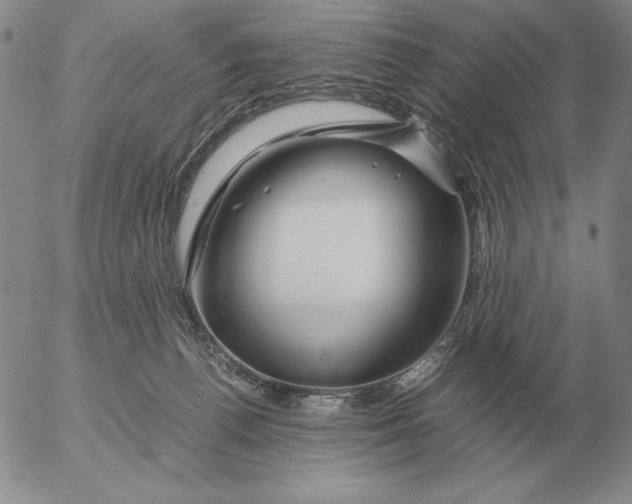 X0000053110176200508012134