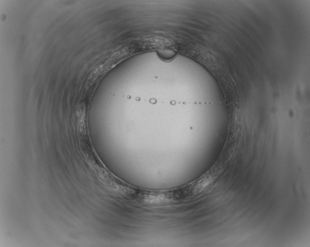 X0000053110177200508012134