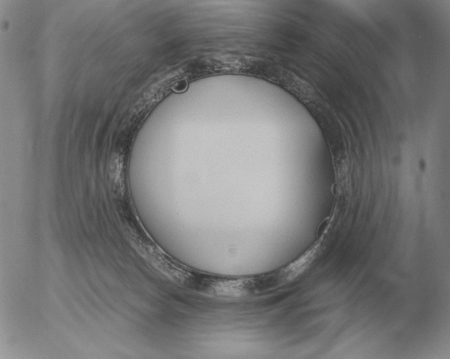 X0000053110178200508012134