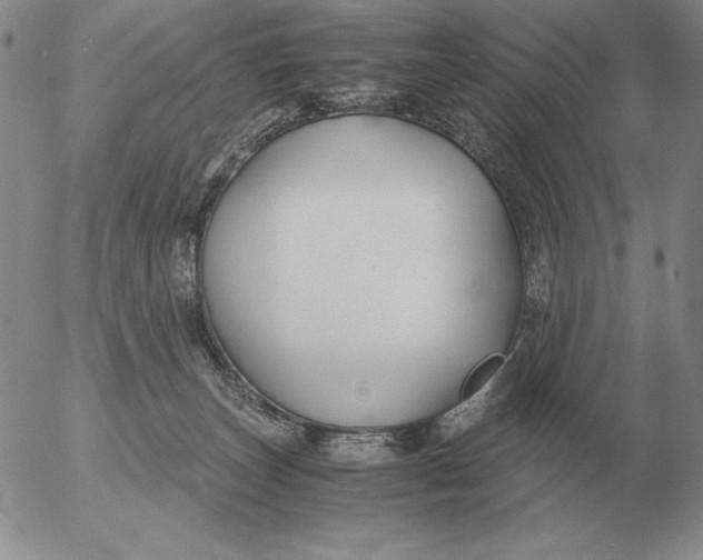 X0000053110179200508012134