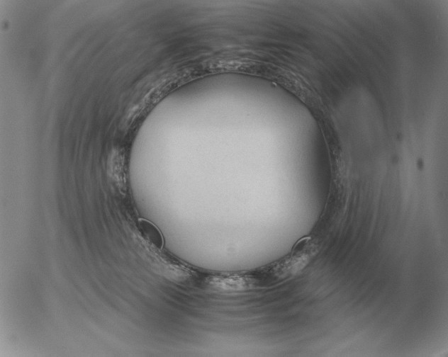 X0000053110181200508012134