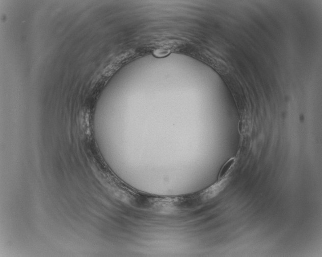 X0000053110182200508012134