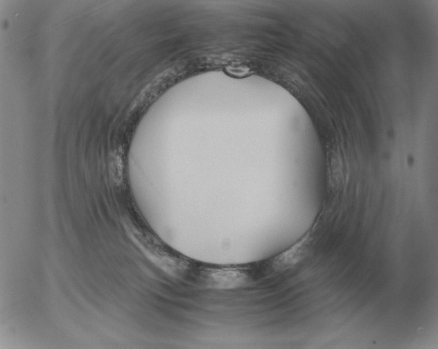 X0000053110183200508012134