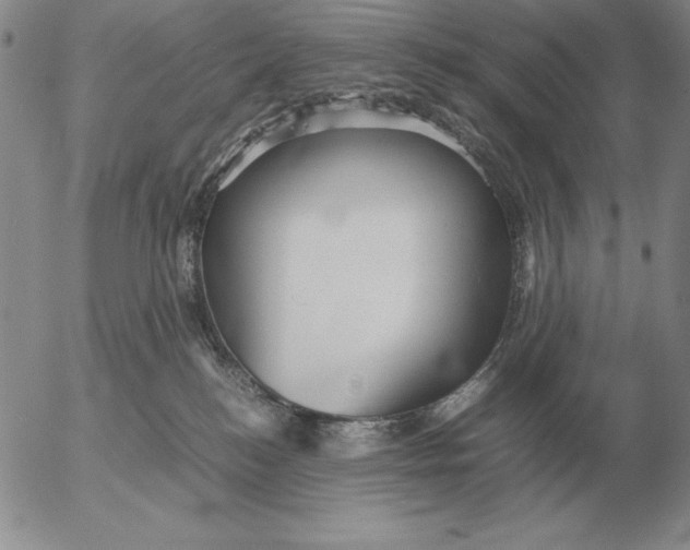 X0000053110184200508012134