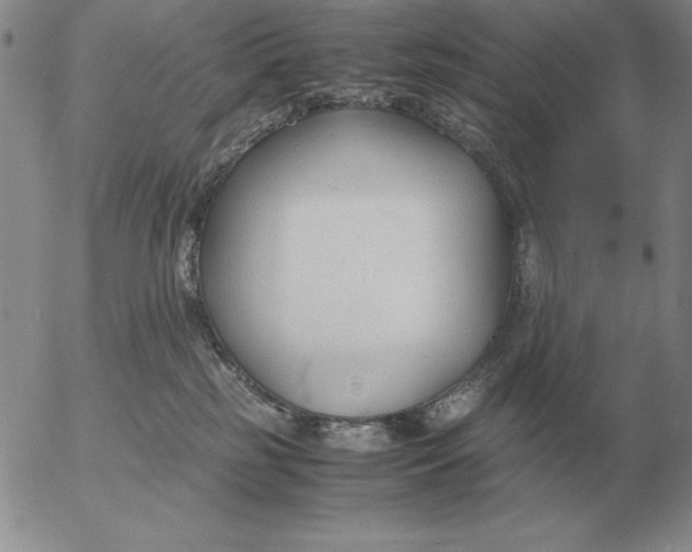 X0000053110185200508012134