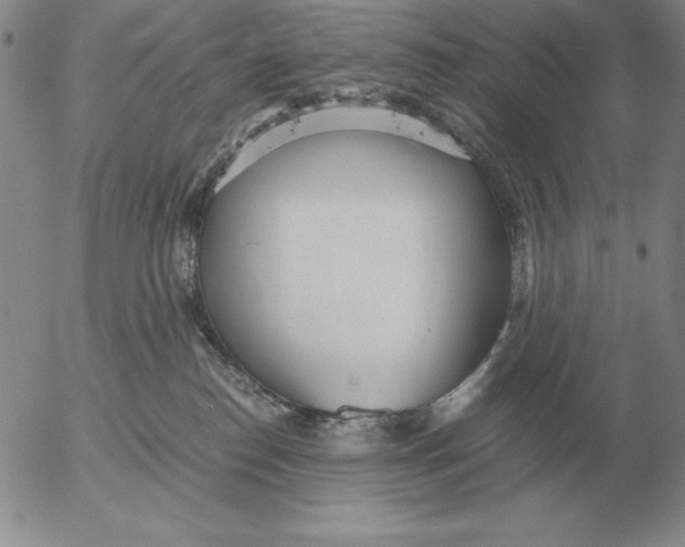 X0000053110186200508012134