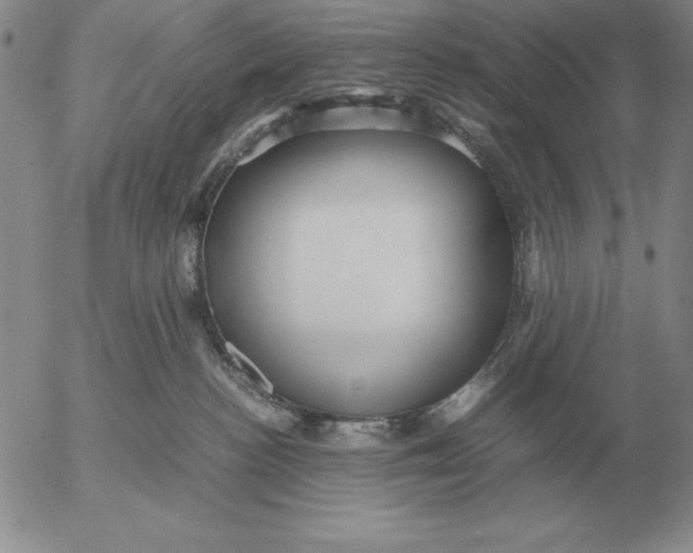 X0000053110188200508012134