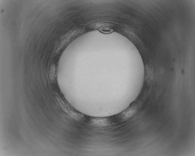 X0000053110189200508012134