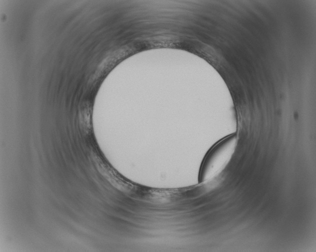 X0000053110190200508012134